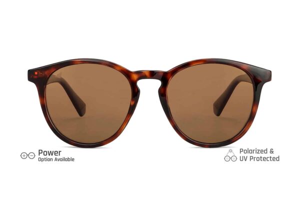 Brown Tortoise Full Rim Round Sunglasses